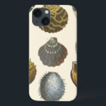Collectie iPhone 13 Hoesje<br><div class="desc">Als je vandaag niet op het strand kunt komen, krijg je dit klassieke afbeelding van dit unieke afbeelding van het leven van het zee van Albertus Seba! Stel je voor dat je op een strand Zee-anemonen ontdekt die de natuur moet aanbieden. Deze seizoenshellen en zee planten door de oceaan zijn...</div>