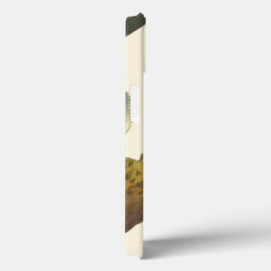 Collectie Case-Mate iPhone Case (Achterkant / Rechts)