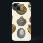 Collectie Case-Mate iPhone Case<br><div class="desc">Als je vandaag niet op het strand kunt komen, krijg je dit klassieke afbeelding van dit unieke afbeelding van het leven van het zee van Albertus Seba! Stel je voor dat je op een strand Zee-anemonen ontdekt die de natuur moet aanbieden. Deze seizoenshellen en zee planten door de oceaan zijn...</div>