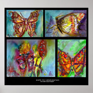 COLLECTIE COLORFUL BUTTERFLIES POSTER