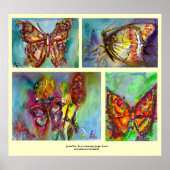 COLLECTIE COLORFUL BUTTERFLIES POSTER (Voorkant)