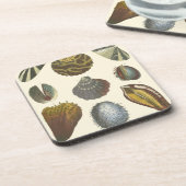 Collectie Drankjes Onderzetter (Linkerzijde)