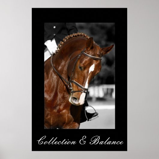 Collectie en saldo poster (Voorkant)