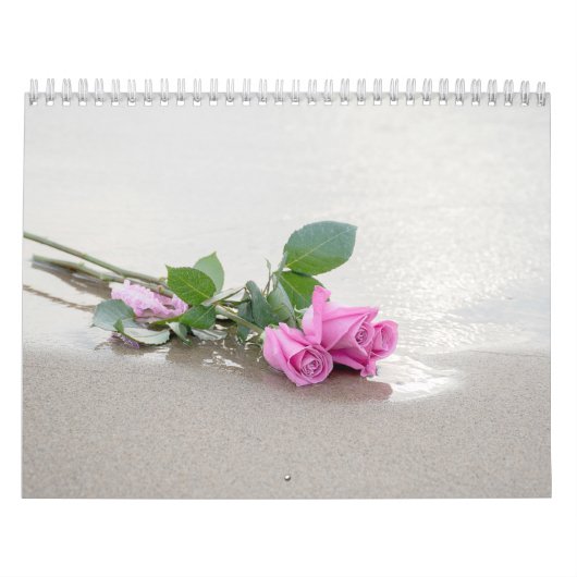 Collectie fotografie kalender (Hoes)