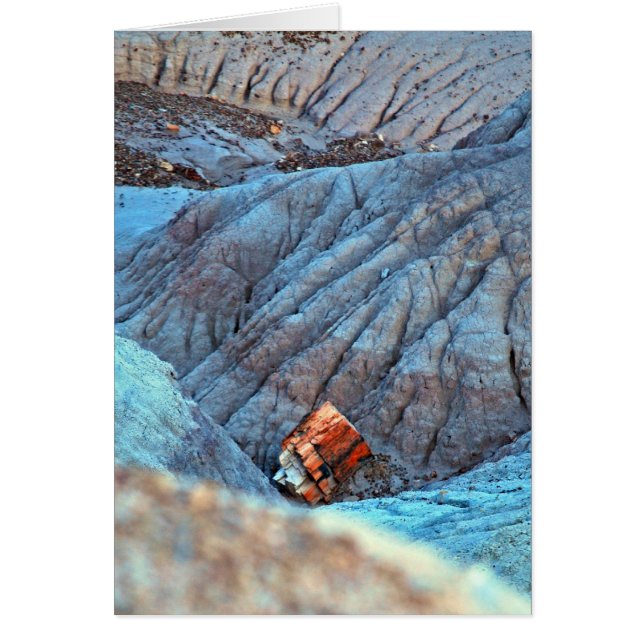 collectie "Gebroken hout in Blue Canyon" (Voorkant)