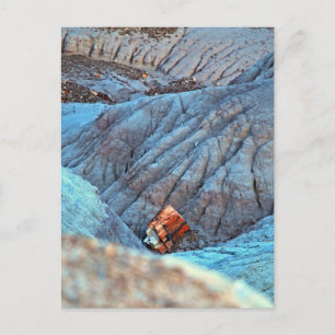 collectie "Gebroken hout in Blue Canyon" Briefkaart