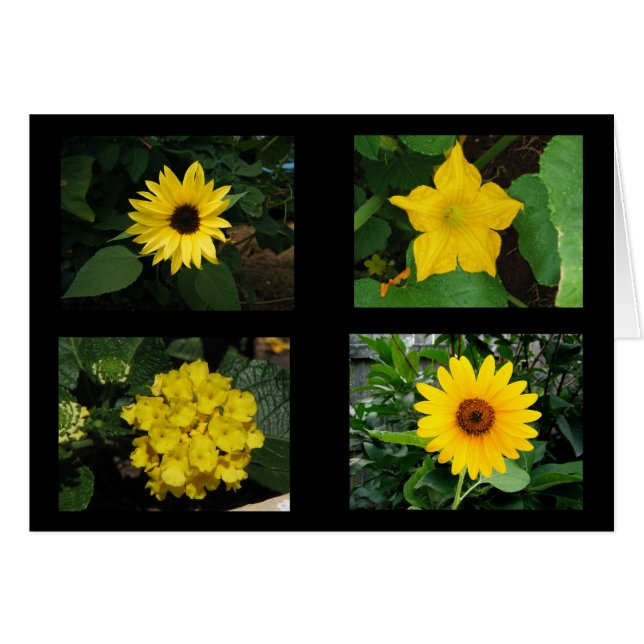 Collectie Gele bloemen (Voorkant Horizontaal)