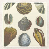 Collectie Glazen Onderzetter (Voorkant)