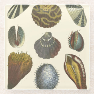 Collectie Glazen Onderzetter