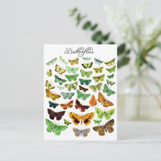 Collectie groene vlinder briefkaart (Staand voorkant)