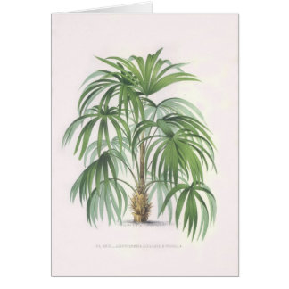 Collectie handpalmtekeningen