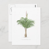 Collectie handpalmtekeningen briefkaart (Voorkant / Achterkant)