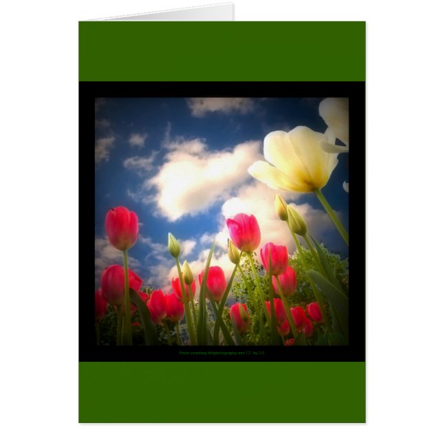 Collectie I (Voorkant)