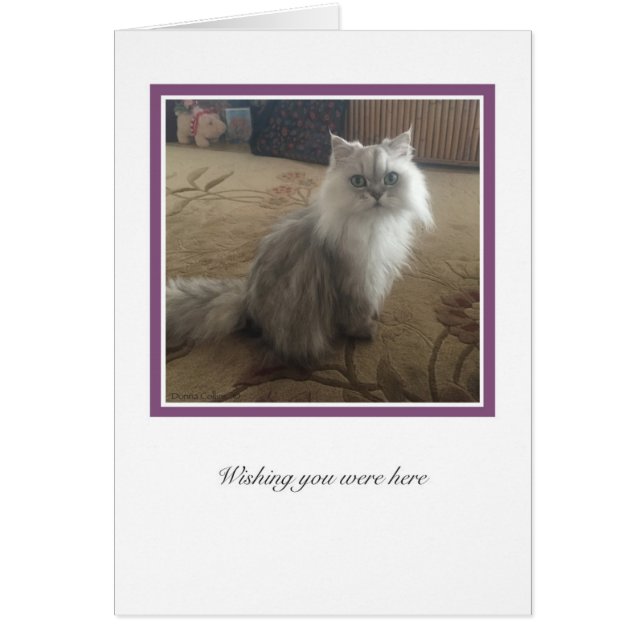 Collectie KiKi # 1 (Voorkant)