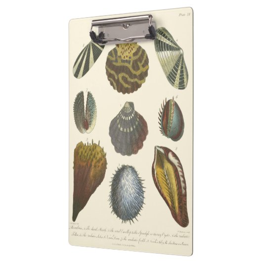 Collectie Klembord (Links)