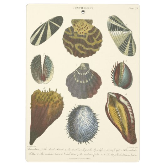 Collectie Klembord (Achterkant)