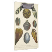 Collectie Klembord (Rechts)