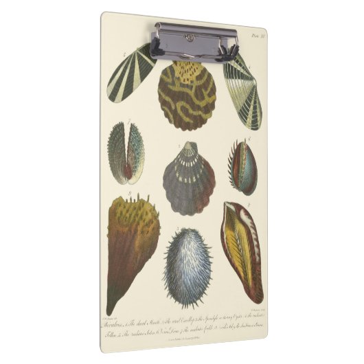 Collectie Klembord (Rechts)