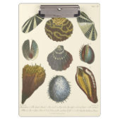 Collectie Klembord (Voorkant)