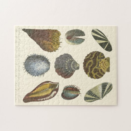 Collectie Legpuzzel (Horizontaal)