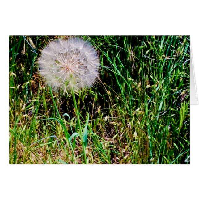 collectie 'Maak een wens' (Voorkant Horizontaal)