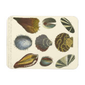 Collectie Magneet (Horizontaal)