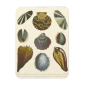 Collectie Magneet (Verticaal)