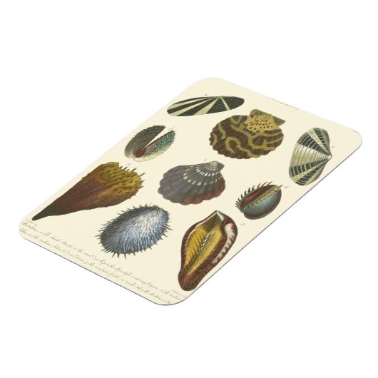 Collectie Magneet (Linkerzijde)