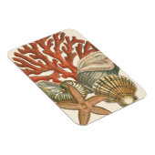 Collectie Magneet (Rechterzijde)