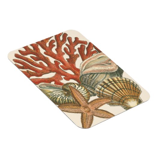 Collectie Magneet (Rechterzijde)