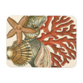 Collectie Magneet (Horizontaal)