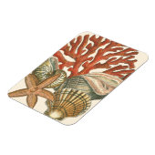 Collectie Magneet (Linkerzijde)