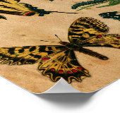 Collectie met botervlinder met verzegeld papieref poster (Hoek)