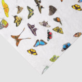 Collectie met butterfly-ontkoppeling tissuepapier (Detail)