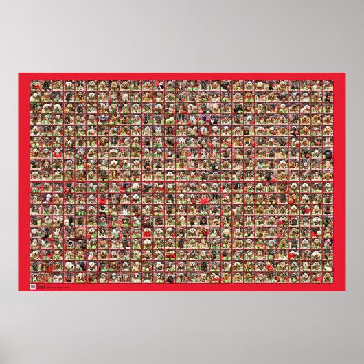 Collectie met kersthonden poster (Voorkant)