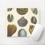 Collectie Muismat (Met muis)