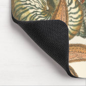 Collectie Muismat (Hoek)