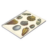 Collectie Notitieboek (Linkerzijde)