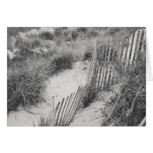 collectie "Omheining and Dunes"