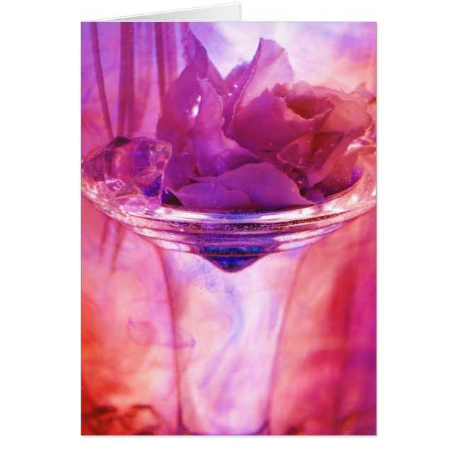 collectie "Paars Roos" (Voorkant)