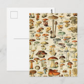 Collectie paddenstoel  briefkaart (Voorkant / Achterkant)