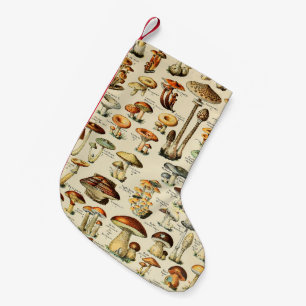 Collectie paddenstoel kleine kerstsok