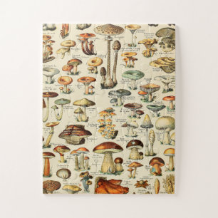 Collectie paddenstoel legpuzzel