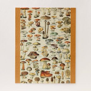 Collectie paddenstoel legpuzzel