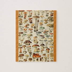 Collectie paddenstoel legpuzzel