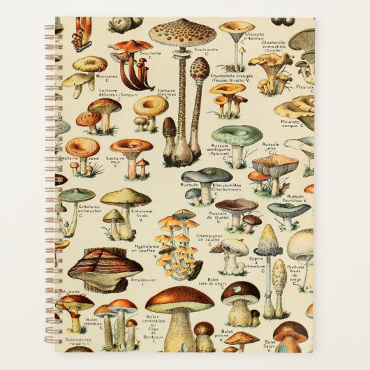 Collectie paddenstoel planner (Voorkant)