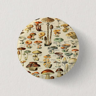 Collectie paddenstoel ronde button 3,2 cm