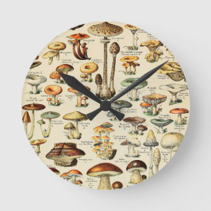 Collectie paddenstoel ronde klok