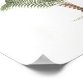 Collectie palmboomillustratie poster (Hoek)