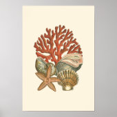 Collectie Poster (Voorkant)